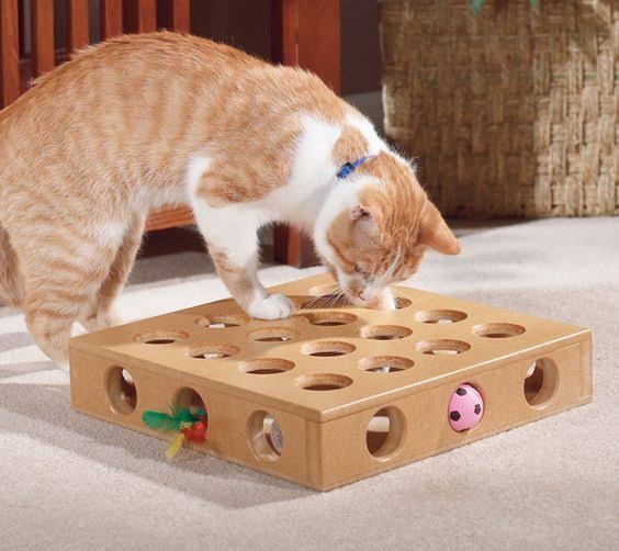 Interactive Puzzle Boards for Small Animals & Cats: The Smart Way to Beat Boredom