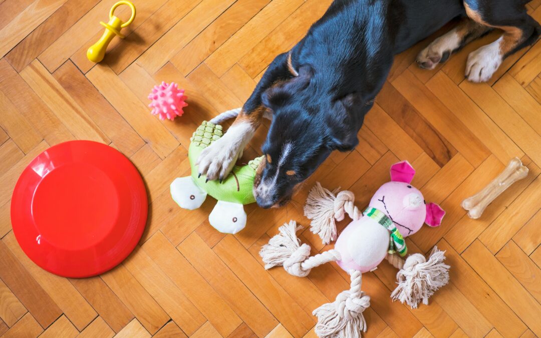 Top 10 Must-Have Pet Toys That Keep Pets Busy While You’re Away